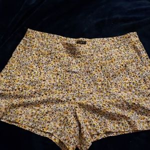 Size 14 LOFT shorts *MULTICOLORED NWT*